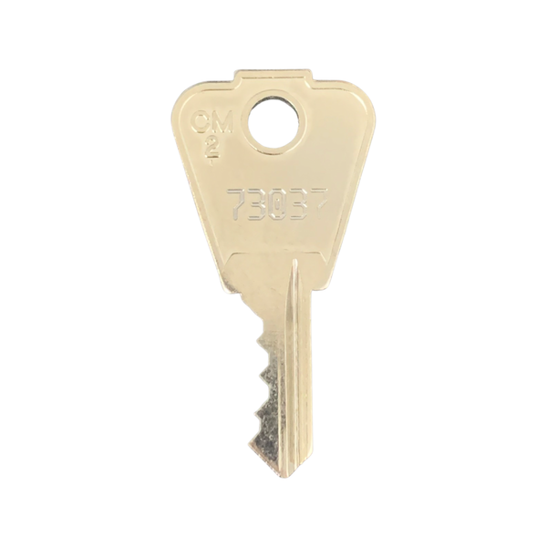 73037 Switch Key